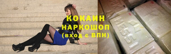 индика Киреевск
