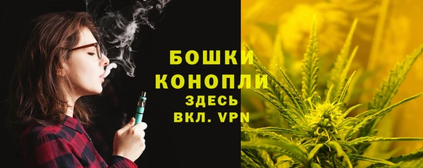 трава Кодинск