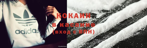 индика Киреевск