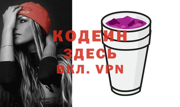 индика Киреевск