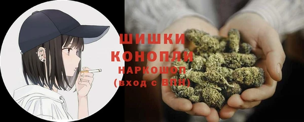 индика Киреевск