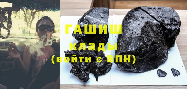 индика Киреевск