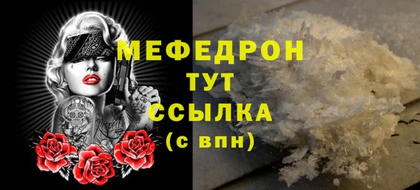 индика Киреевск