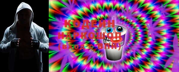 индика Киреевск