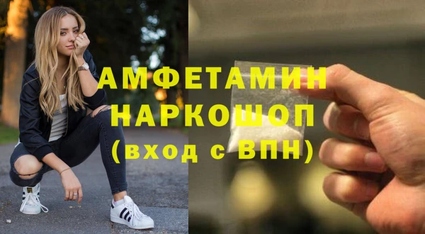 индика Киреевск