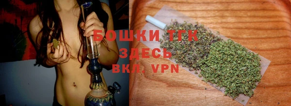 индика Киреевск