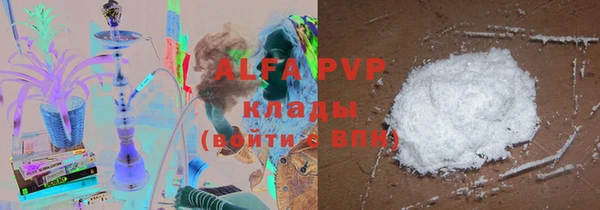 индика Киреевск