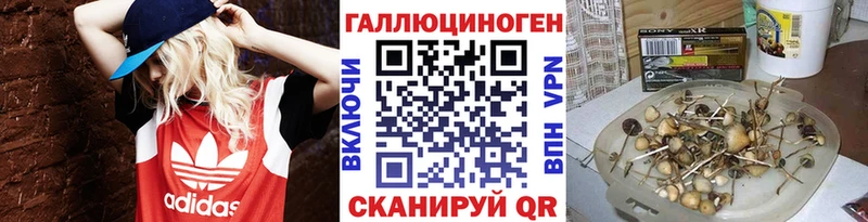 где найти наркотики Кировск Галлюциногенные грибы прущие грибы